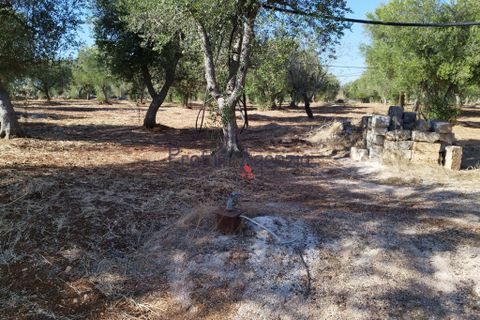 Landejendom i Ostuni, Brindisi, Ostuni - € 90.000 | Ref: 172622 - foto 12